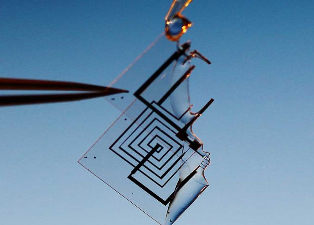 IBM выпустит чипы с функцией самоликвидации - «Технологии»