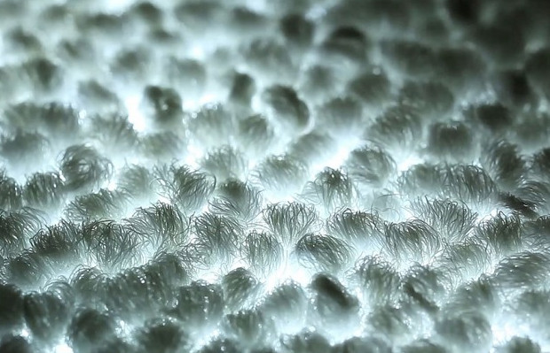 В компании Philips разработали ковёр-«светлячок» - «Технологии»