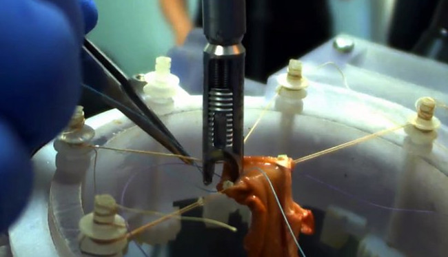 Робот-хирург превзошел «живого» коллегу - «Роботы»