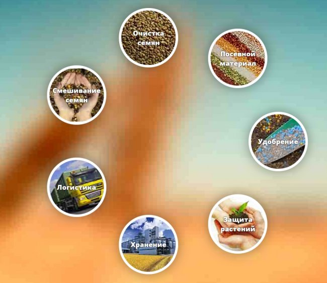 Надежное сельскохозяйственное производственное предприятие