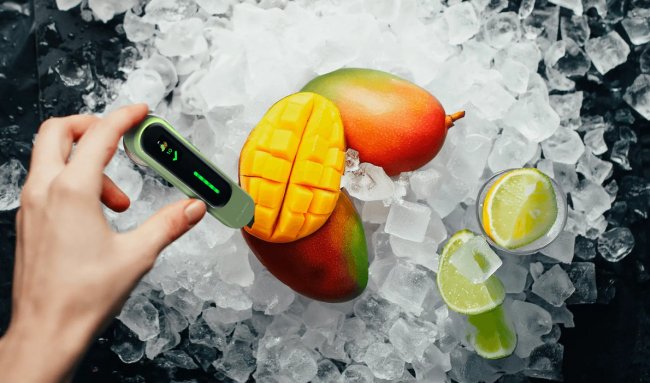 Компактный тестер EcoTracker определит безопасность продуктов за три секунды - «Технологии»