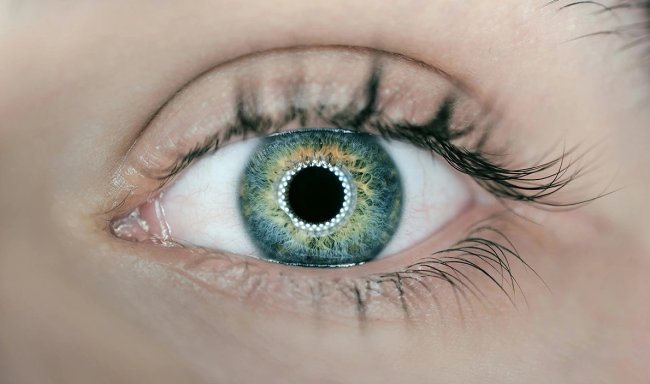 Напечатанная на 3D-принтере роговица вернула зрение слепому пациенту - «Технологии»