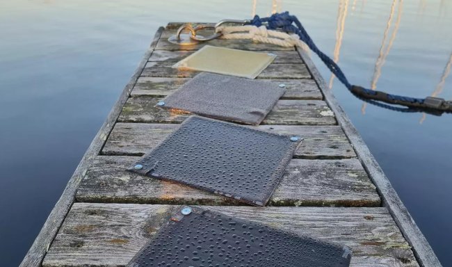 Древесная смола из Финляндии превосходит обычный пластик — и при этом поддается переработке - «Технологии»