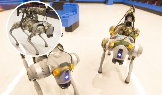 Китайские инженеры обучают боевых робопсов действовать в стае - «Роботы»